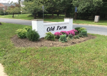 Old Farm Homes